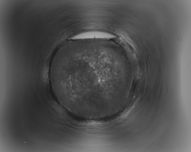 X0000089340585200706291003