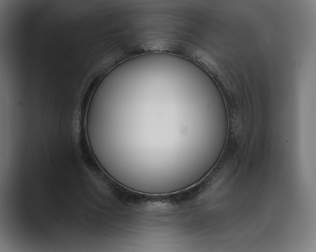 X0000089340586200706291003