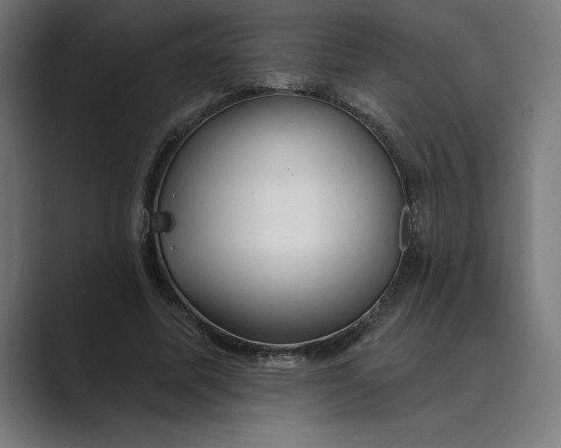 X0000089340587200706291003