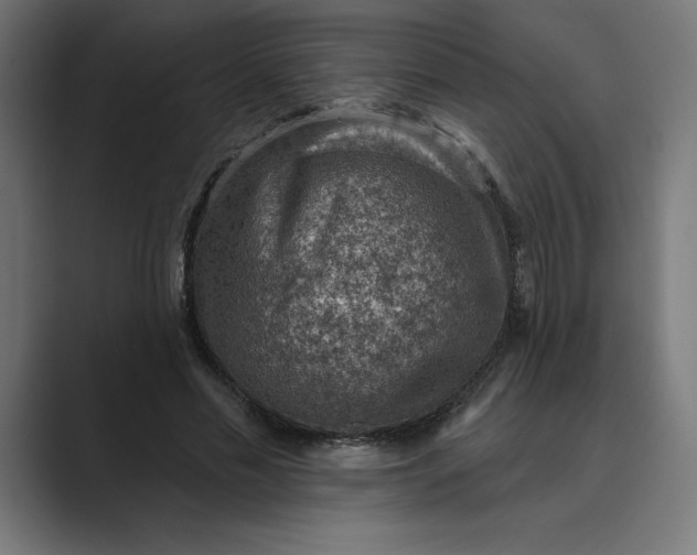 X0000089340589200706291003