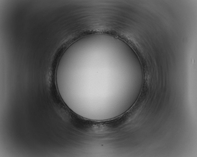 X0000089340591200706291003