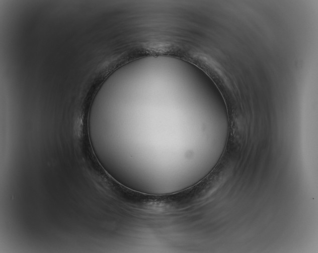 X0000089340596200706291003