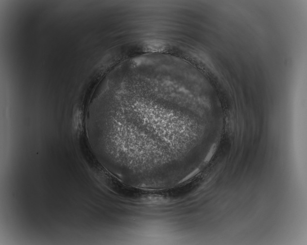 X0000089340598200706291003