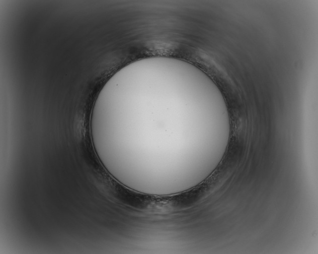 X0000089340599200706291003