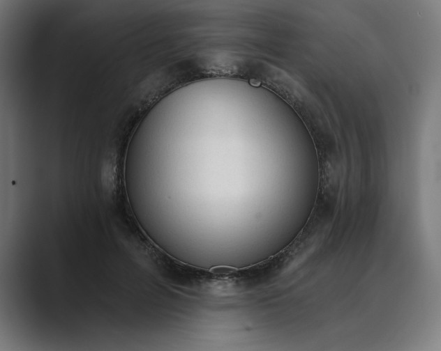 X0000089340600200706291003