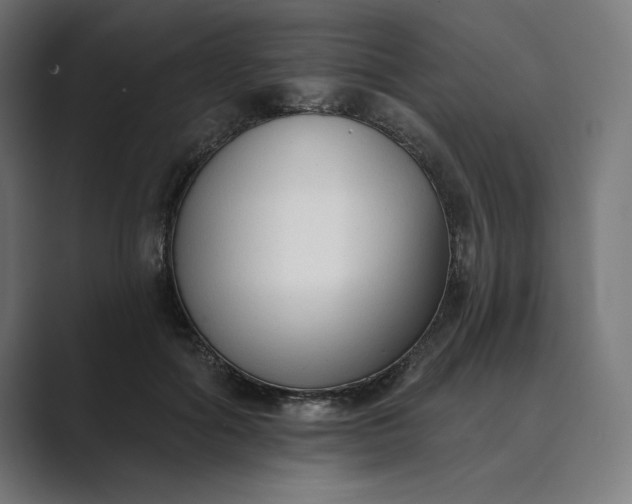 X0000089340602200706291003