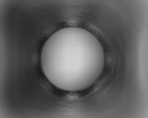 X0000089340603200706291003