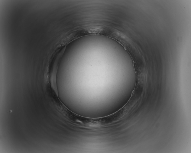 X0000089340604200706291003
