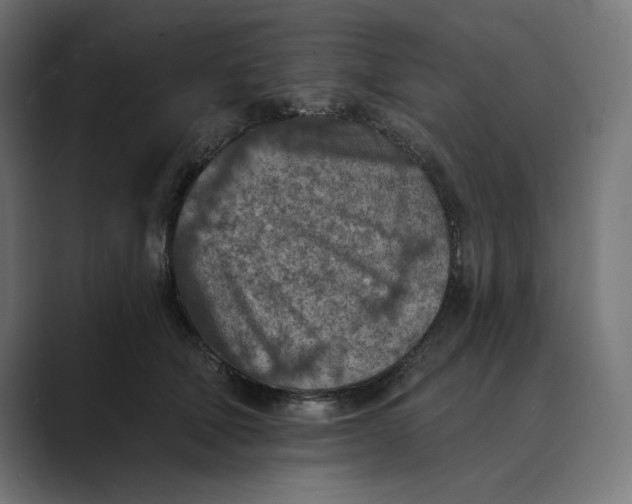 X0000089340610200706291003
