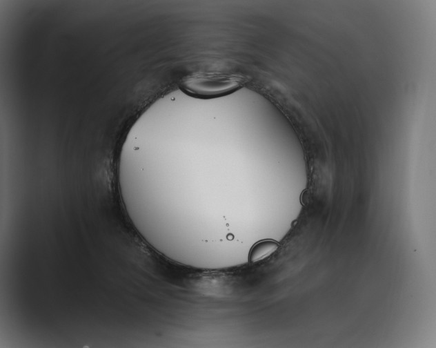 X0000089340612200706291003