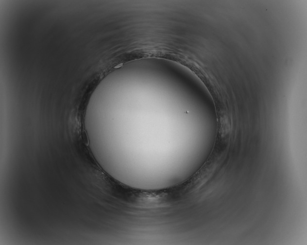 X0000089340613200706291002