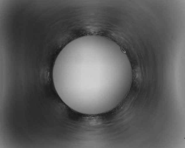 X0000089340615200706291002