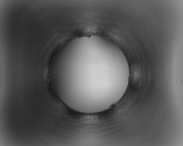 X0000089340619200706291002