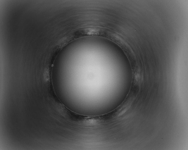 X0000089340620200706291002