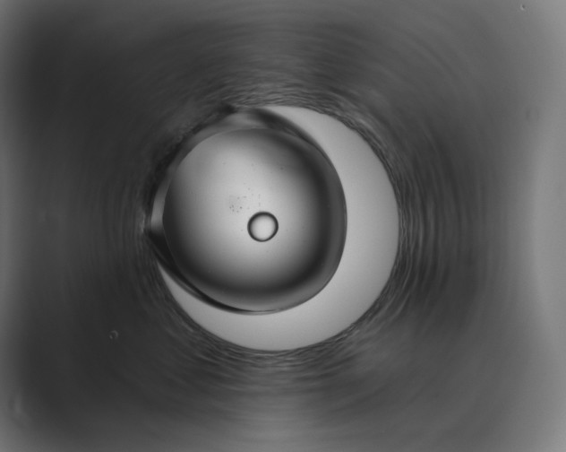 X0000089340621200706291002