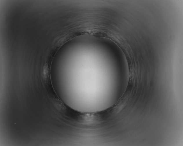 X0000089340623200706291002