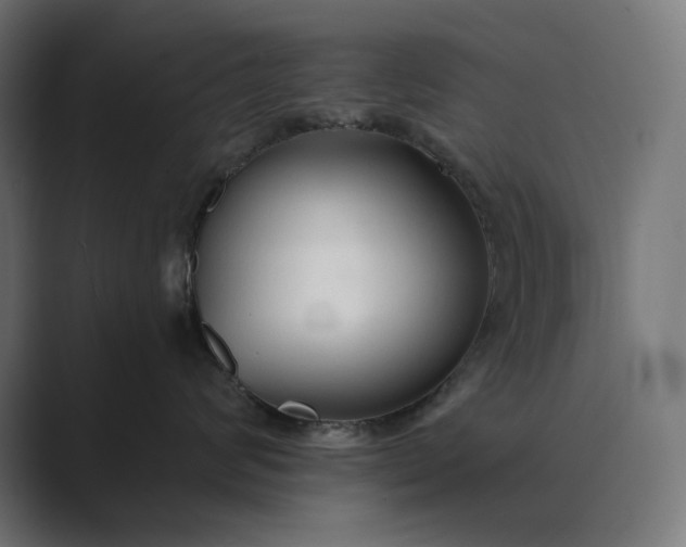 X0000089340624200706291002
