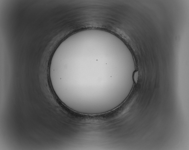 X0000089340625200706291002