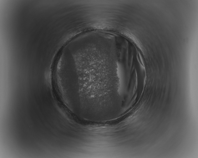 X0000089340626200706291002