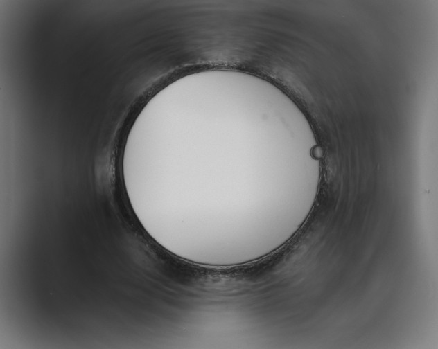 X0000089340632200706291002