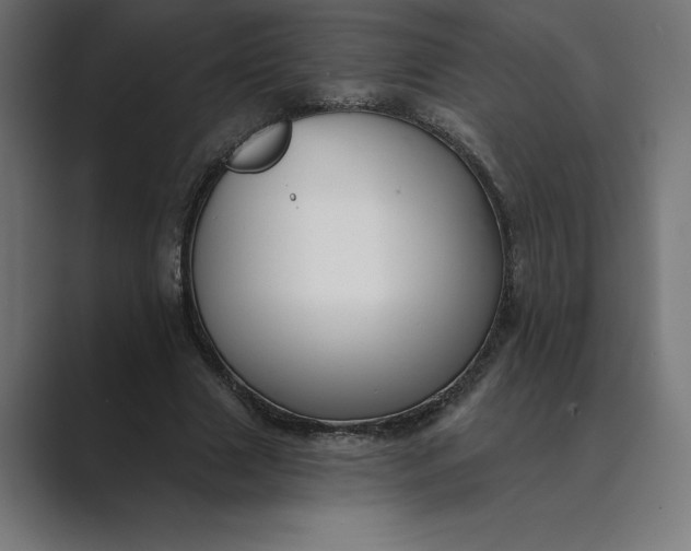 X0000089340633200706291002