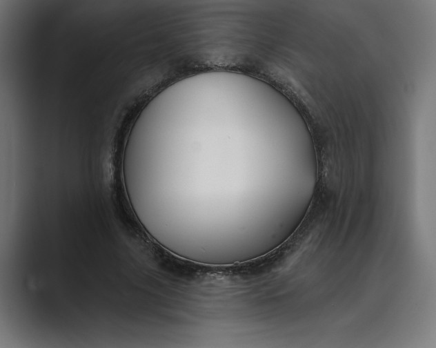 X0000089340635200706291002