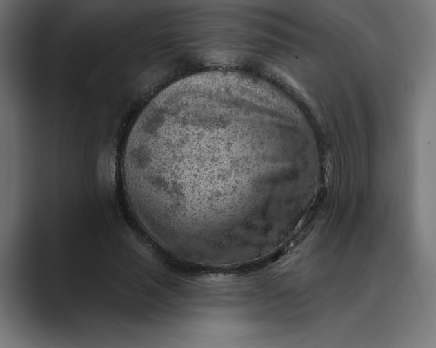 X0000089340637200706291002