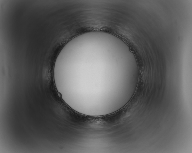 X0000089340642200706291002