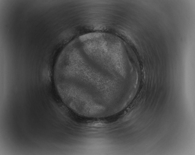 X0000089340643200706291002