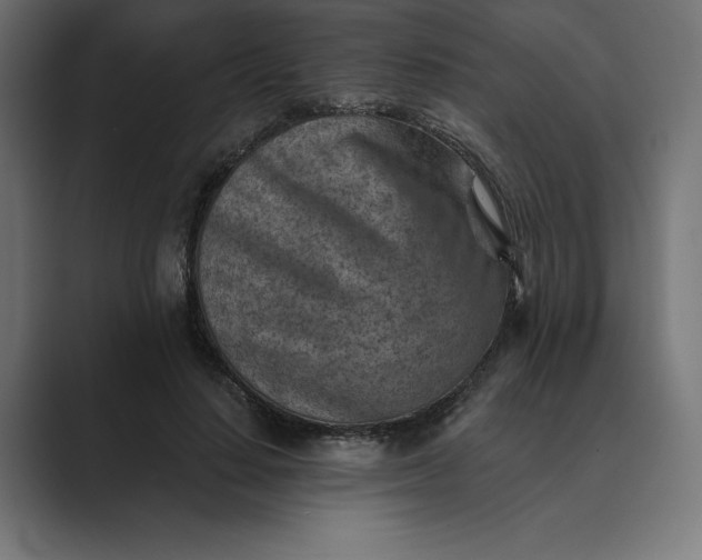 X0000089340644200706291002