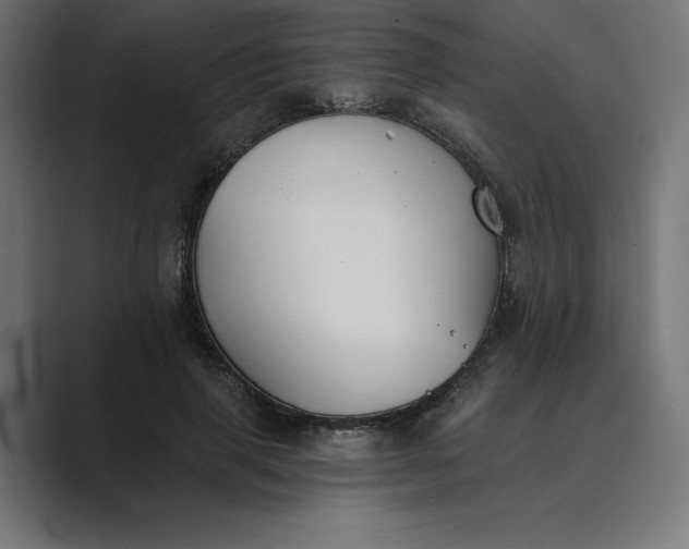 X0000089340645200706291002