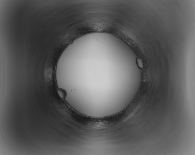 X0000089340646200706291002