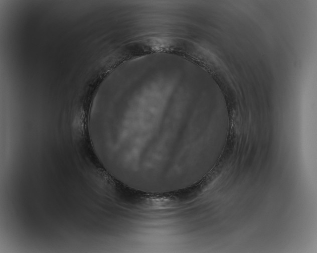 X0000089340650200706291002