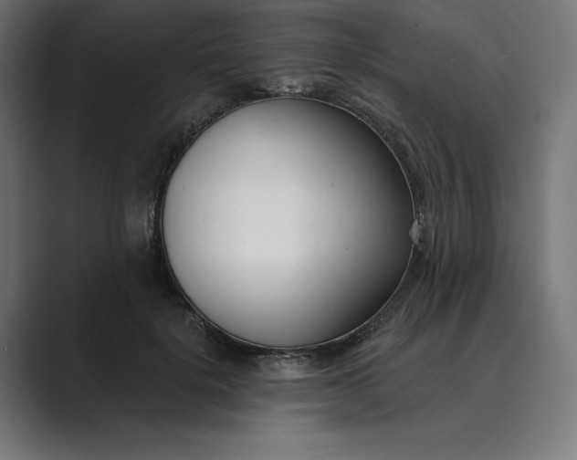 X0000089340652200706291002