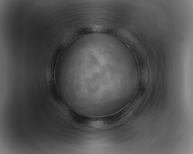 X0000089340653200706291002