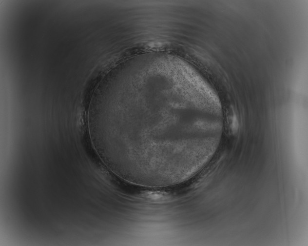 X0000089340654200706291002