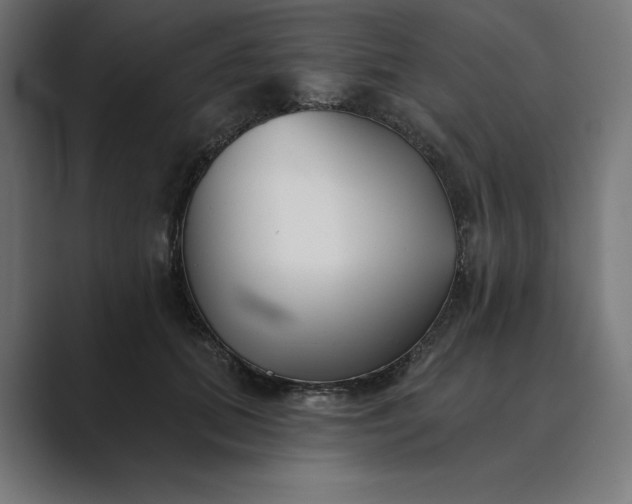 X0000089340655200706291002