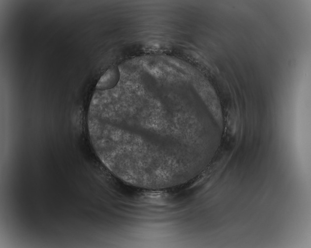 X0000089340659200706291002