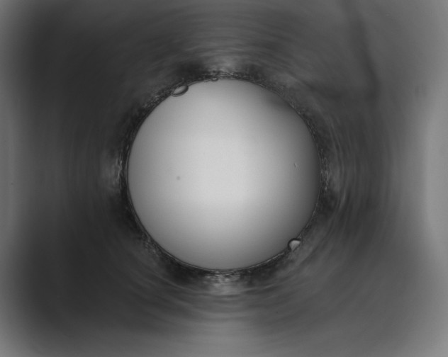 X0000089340660200706291002