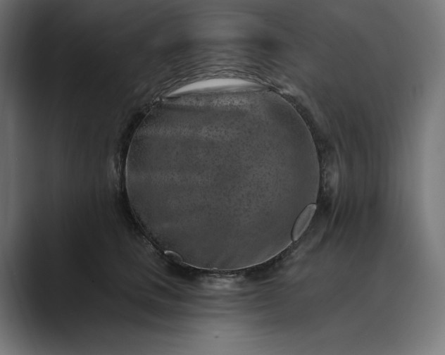 X0000089340661200706291002