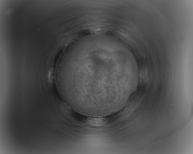 X0000089340671200706291002