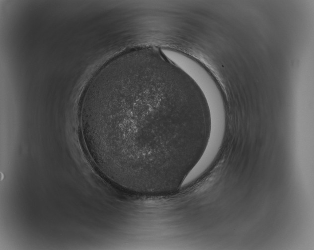 X0000089340673200706291002