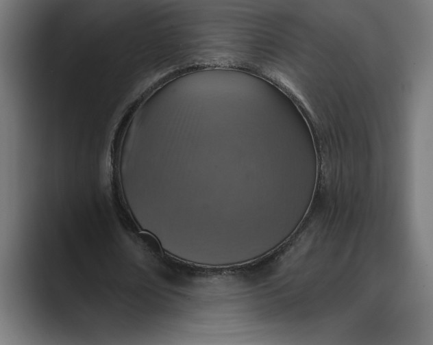 X0000089340674200706291002