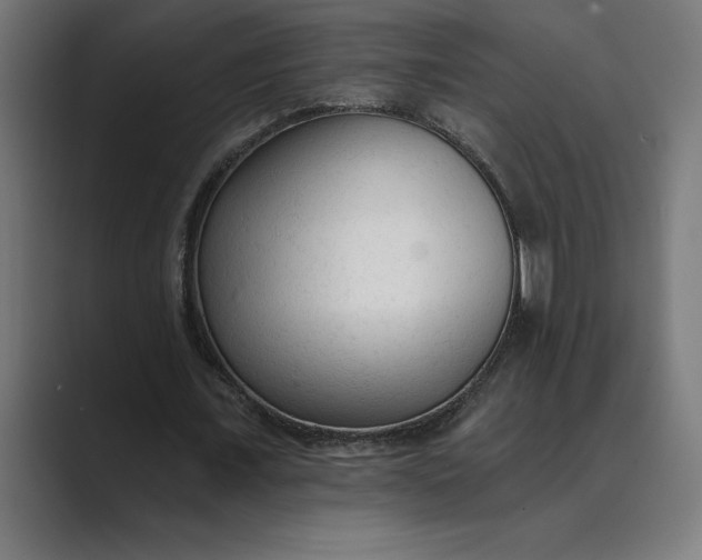 X0000089340675200706291002