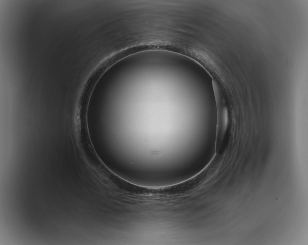 X0000089340676200706291002