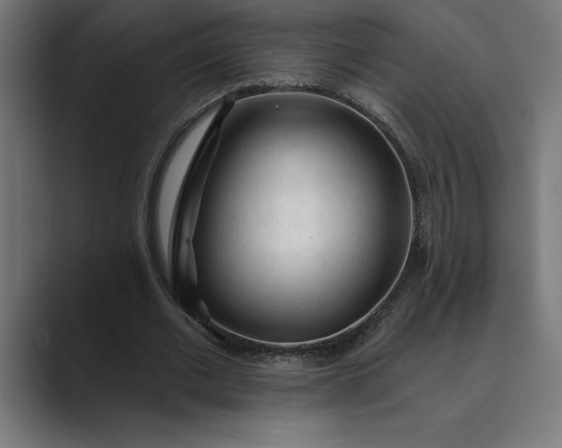 X0000089340677200706291002