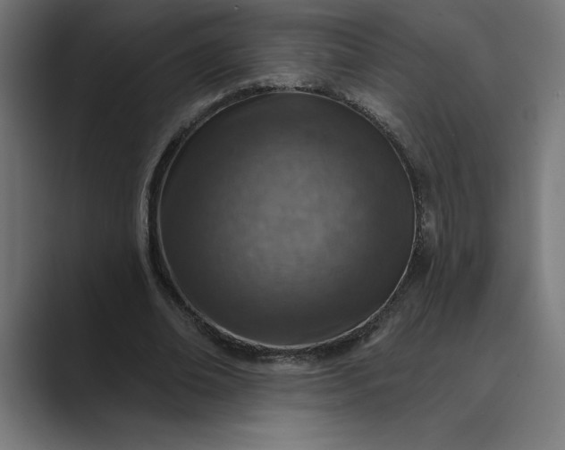 X0000089340678200706291002