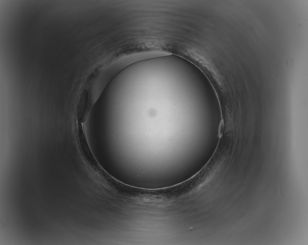 X0000089340681200706291002