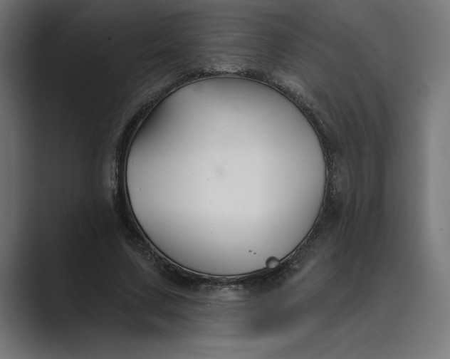 X0000089340683200706291002