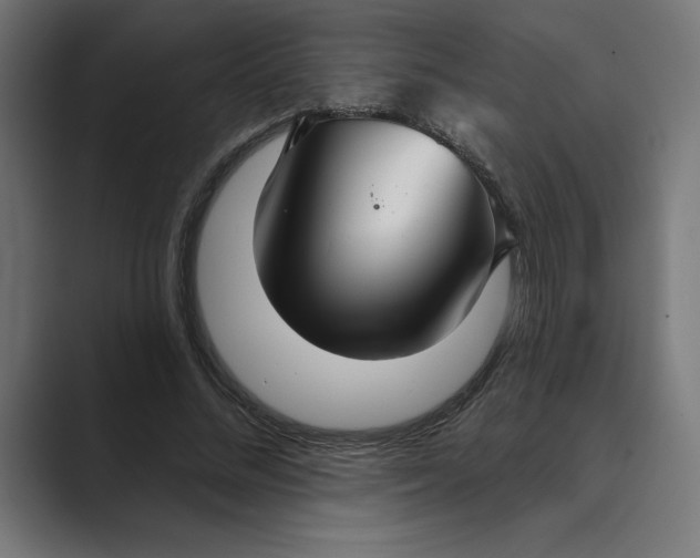 X0000089340684200706291002